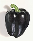 A Single Black Bell Pepper on a White Background