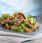 Plate of Sliced Beef Salad with Potatoes