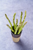 Asparagus Spears in a Flower Pot