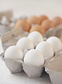 Half Dozen White Eggs in Carton, Brown Eggs in Carton