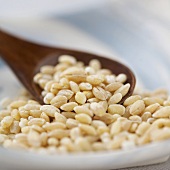 Close Up of Pearl Barley with a Spoon