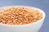 Red Lentils In a White Bowl