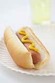 Hot Dog with Mustard on a Paper Plate