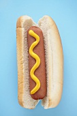 Hot Dog with Mustard on a Bun, Blue Background