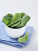 Baby Spinach Leaves in a Small White Bowl, Single Leaf Beside Bowl
