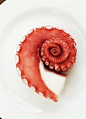 Octopus Tentacle on a White Plate