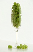 Gooseberries In and Beside a Champagne Flute, White Background