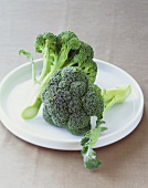 Broccoli on White Plate