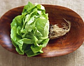 Butter Lettuce with Roots in a Wooden Bowl