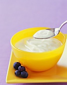 Plain Yogurt in a Yellow Bowl and on Spoon, Blueberries