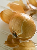Close Up of a Whole Yellow Onion