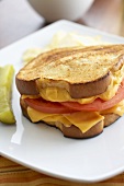 Grilled Cheese and Tomato Sandwich with Pickle and Chips