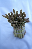 Bundle of Organic Asparagus on a Blue Background