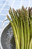 Fresh Organic Asparagus Spears in a Colander