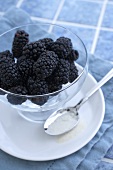 Bowl of Organic Blackberries, Spoon