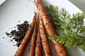 Fresh Organic Carrots with Dirt and Parsley