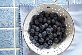 Fresh Organic Blueberries in a Colander
