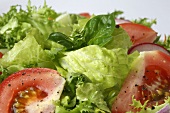 Blattsalat mit Tomaten und Radieschen (Close Up)