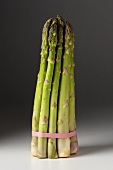 Bunch of Asparagus with Elastic Band Around Bottom, Standing