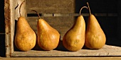 Four Bartlett Pears in a Wooden Crate