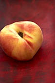 A Single Organic Saucer Peach