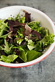 Bowl of Mixed Greens