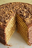 Chocolate Peanut Butter Eight Layer Cake with Slice Removed