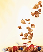 Bran Flake Cereal Pouring Into a Bowl with Fruit and Milk