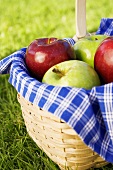 Basket of Assorted Apples on Grass