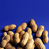 Peanuts on a Blue Background