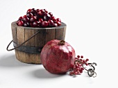 A Pomegranate, Cranberries and Pepper Berries on White