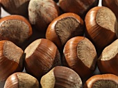 Close Up of Hazelnuts, Full Frame
