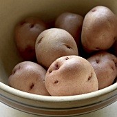 Rote Kartoffeln in einer Schale