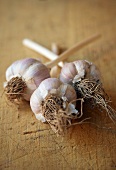 Three Whole Garlic Bulbs, Close Up