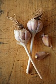 Two Whole Garlic Bulbs with Two Garlic Cloves