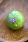 A Single Hydroponic Grown Lime