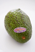 Avocado aus Hydrokulturanbau mit Etikett