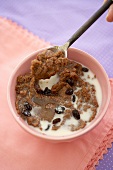 Bowl of Teff Cereal with Raisins and Honey; Spoon