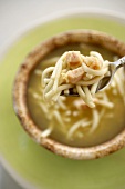 Spoonful of Chicken Noodle Soup; Close Up