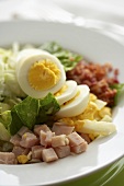 Cobb Salad (Gemischter Salat, USA)