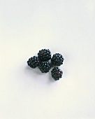 Fresh Blackberries on a White Background