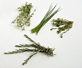 Four Assorted Herbs on a White Background