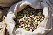 Large Sack of Dried Beans at the Market