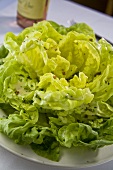 Lettuce with Fruity Grape Dressing