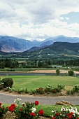 Views of Franschhoek Wine Area, South Africa