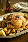 Platter of Roasted Chicken and Vegetables