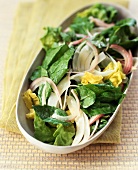 Mixed Greens with Red Onion and Fennel