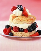 Mixed Berry Shortcake on a Plate