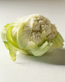 Head of Cauliflower on a White Background