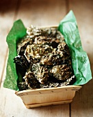 Oysters in a Paper Lined Box